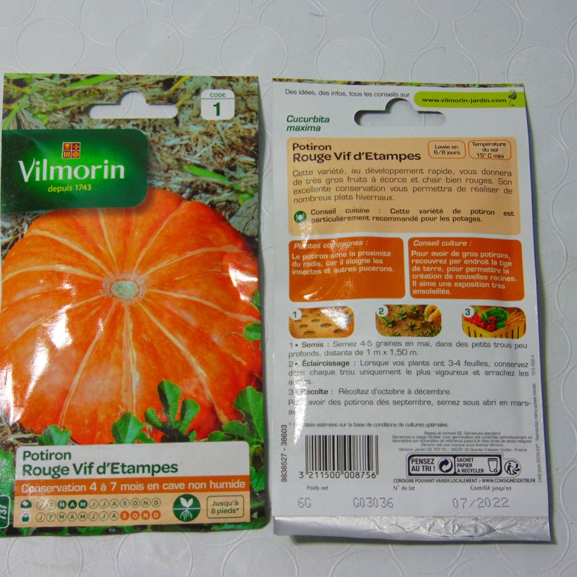 Esempio di esemplare Zucca Rosso vivo di Etampes - Vilmorin sacchetto di 36 semi circa (6g) come consegnato
