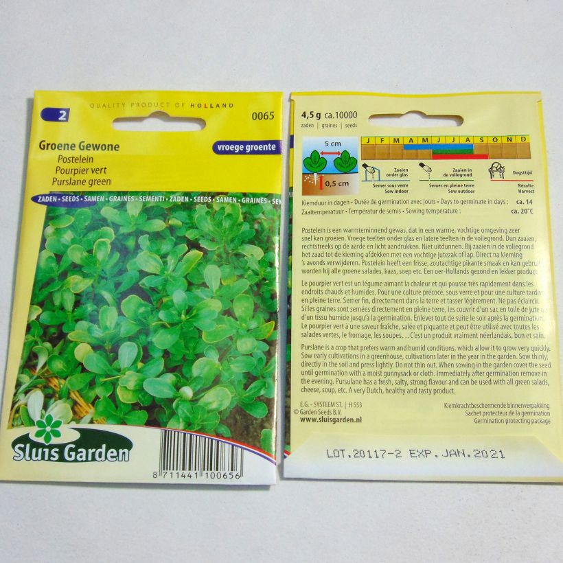 Example of Portulaca oleracea Verde - Porcellana sacchetto di 10000 semi circa (4g) as you get