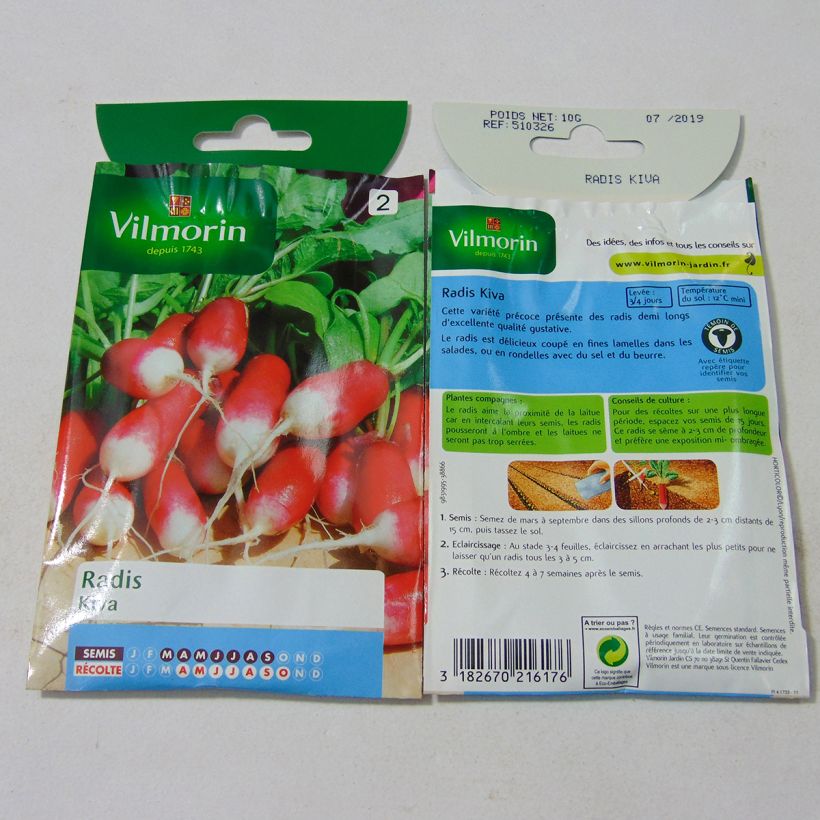 Esempio di esemplare Ravanello Kiva sacchetto di 800 semi circa (10g) come consegnato