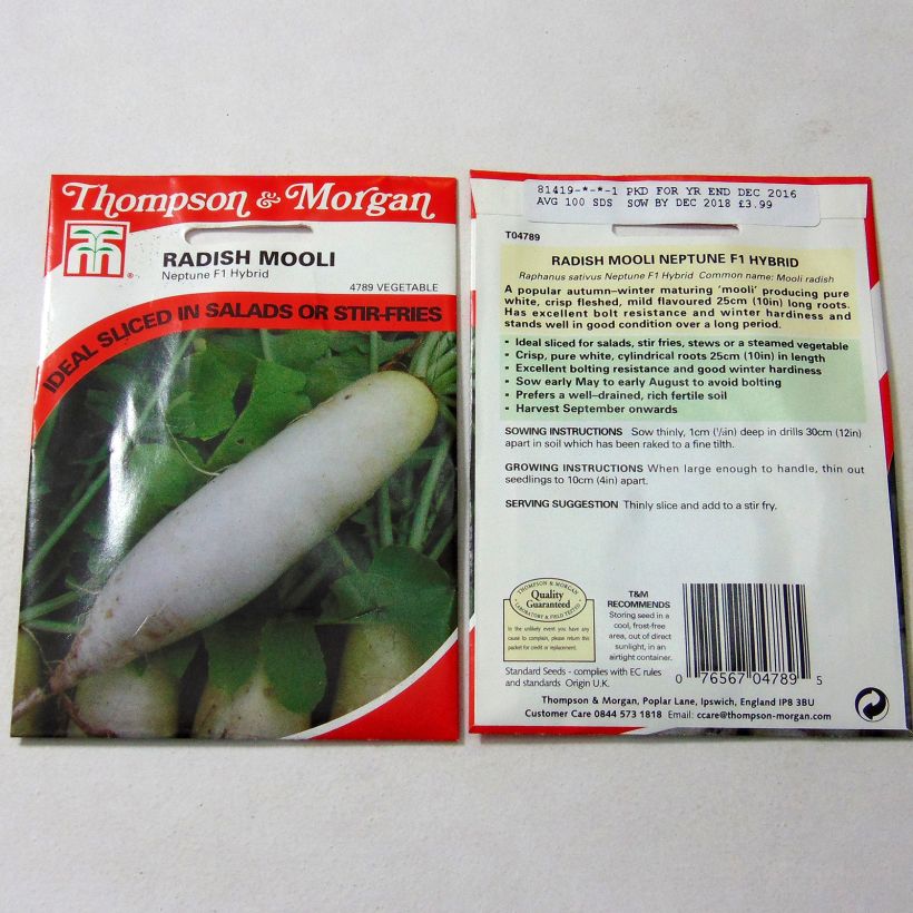 Example of Ravanello Mooli Neptune F1 sacchetto di 100 semi circa as you get