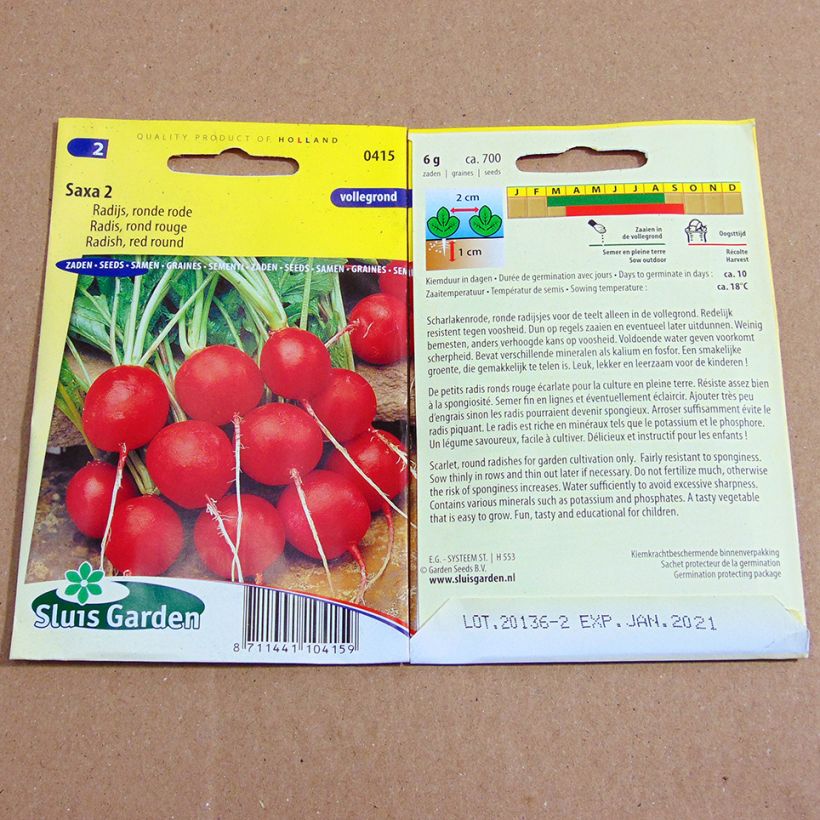 Example of Ravanello Rotondo rosso Saxa 2 sacchetto di 700 semi circa (6g) as you get