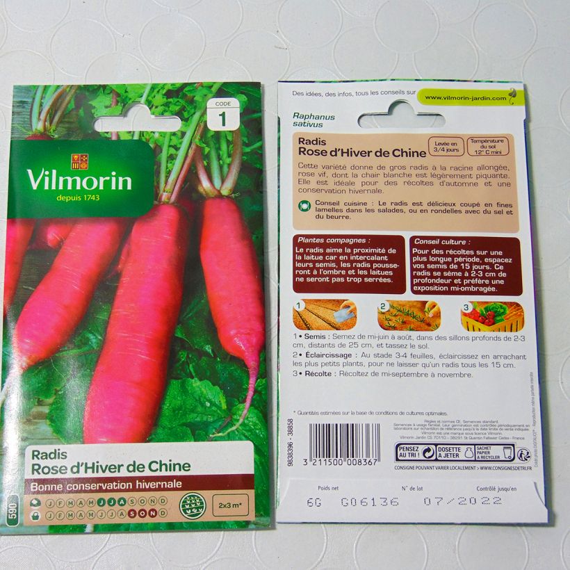 Esempio di esemplare Ravanello Rosa Cinese d'Inverno - Vilmorin sacchetto di 480 semi circa (6g) come consegnato