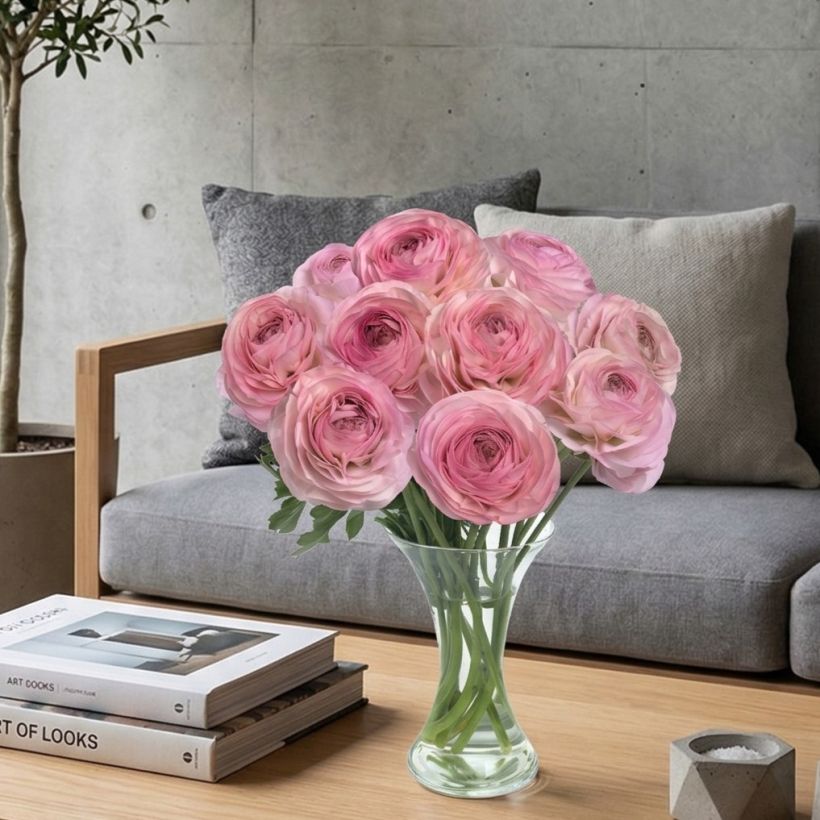 Ranuncolo asiatico Romance Seine – Ranunculus asiaticus (Porto)