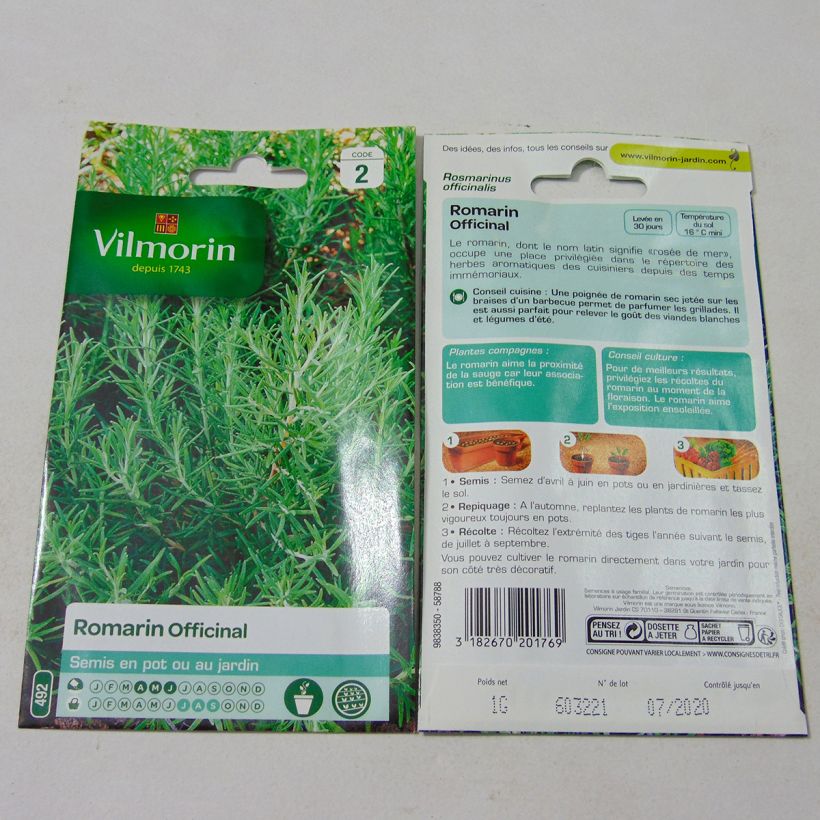 Example of Rosmarinus officinalis - Vilmorin - Rosmarino sacchetto di semi da 1 grammi as you get