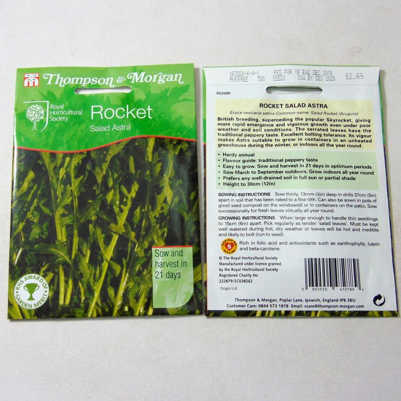 Esempio di esemplare Rucola Astra sacchetto di 750 semi circa come consegnato