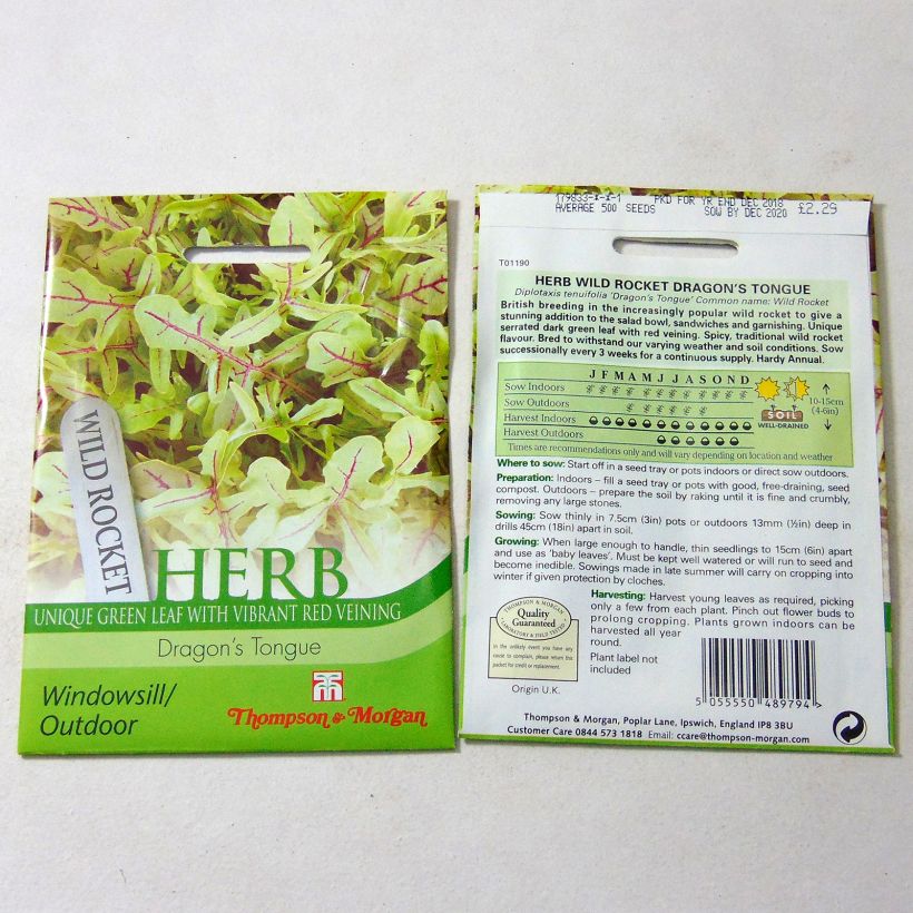 Esempio di esemplare Ruchetta selvatica Dragon Tongue sacchetto di 500 semi circa come consegnato