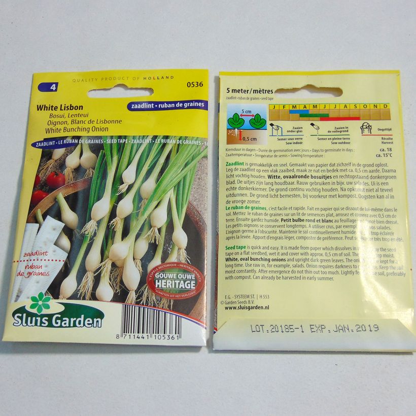 Esempio di esemplare Cipollotto Blanc de Lisbonne sacchetto di semi da 5 grammi come consegnato