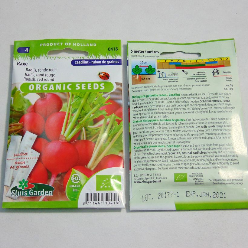 Esempio di esemplare Ravanello Rotondo rosso Raxe Bio (Semi a nastro) Semi su nastro come consegnato