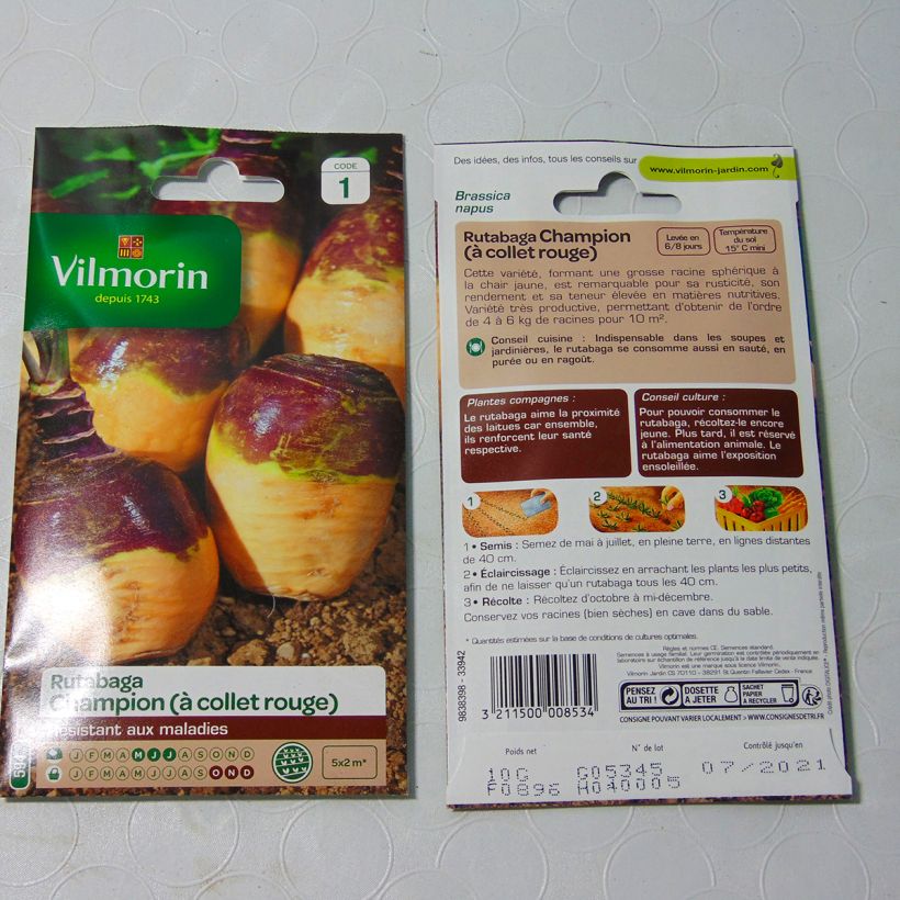 Esempio di esemplare Rutabaga Champion - Vilmorin sacchetto di 3500 semi circa (10g) come consegnato