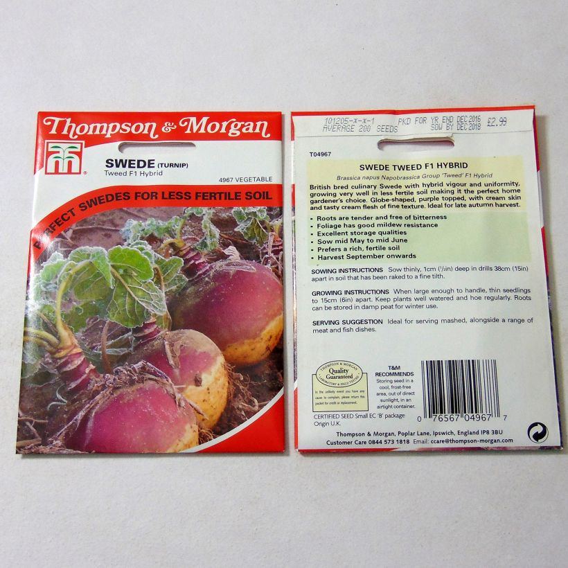 Esempio di esemplare Rutabaga Tweed sacchetto di 200 semi circa come consegnato