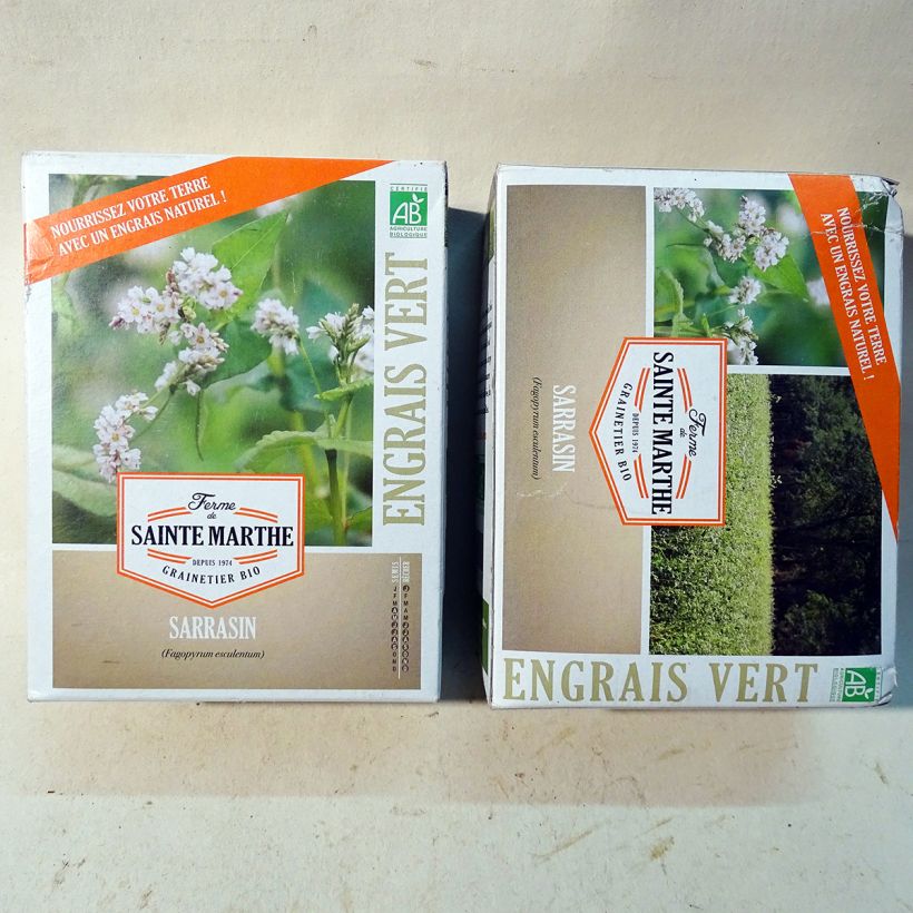 Esempio di esemplare Fagopyrum esculentum Bio - Ferme de Sainte Marthe - Grano saraceno comune sacchetto di semi da 400 grammi come consegnato