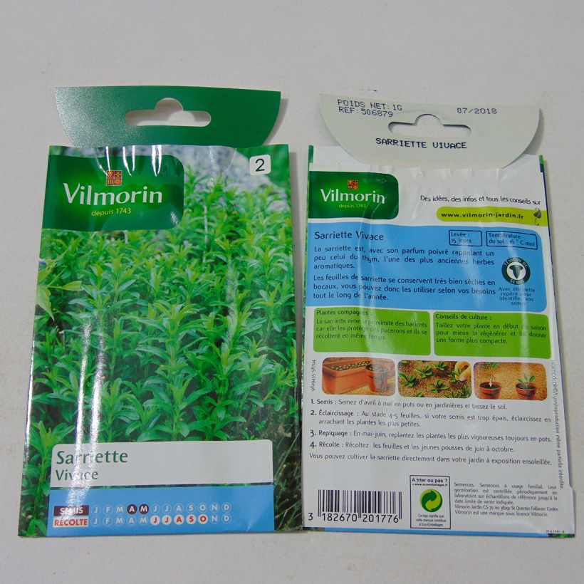 Esempio di esemplare Satureja montana - Santoreggia montana sacchetto di 700 semi circa (0,4g) come consegnato