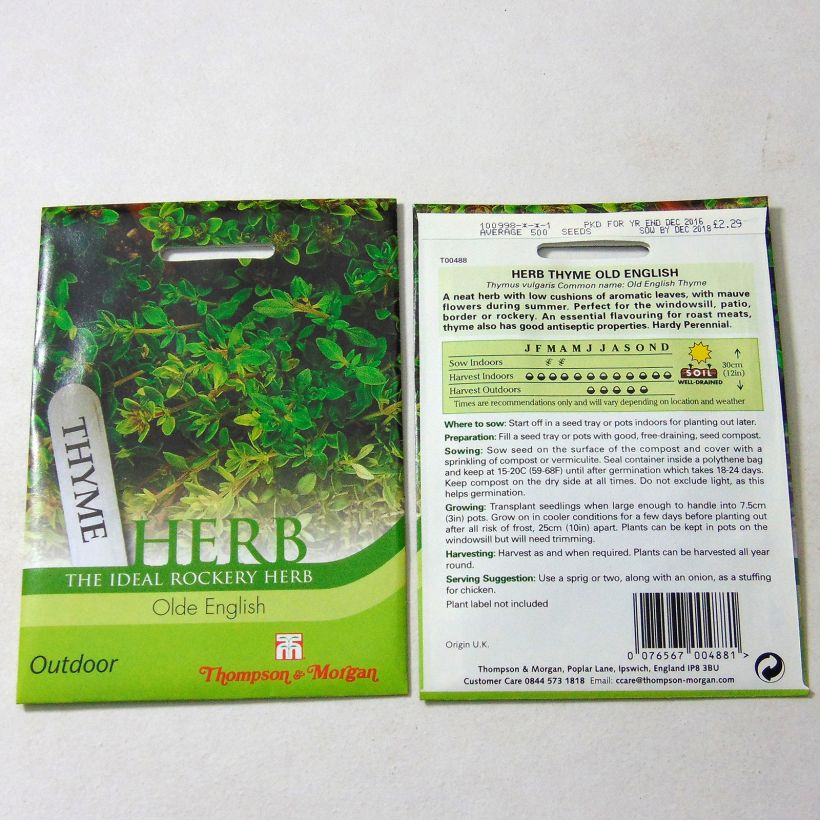 Esempio di esemplare Thymus vulgaris Old English - Timo sacchetto di 500 semi circa come consegnato