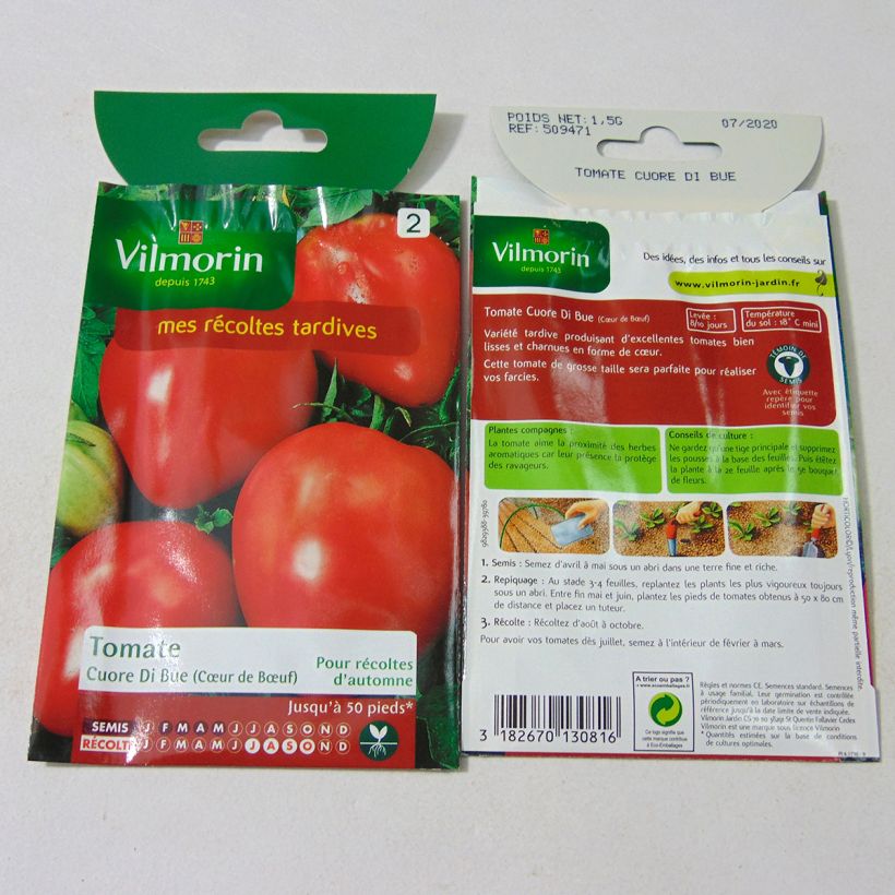 Esempio di esemplare Pomodoro cuore di bue/Beefsteak Cuor di Bue - Vilmorin sacchetto di 300 semi circa (1g) come consegnato