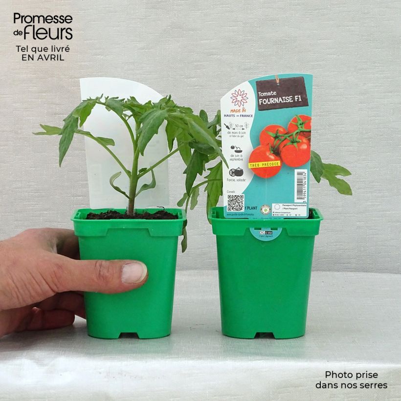 Example of Pomodoro tondo liscio Fournaise Vaso da Ø 10 cm/11 cm as you get in printemps