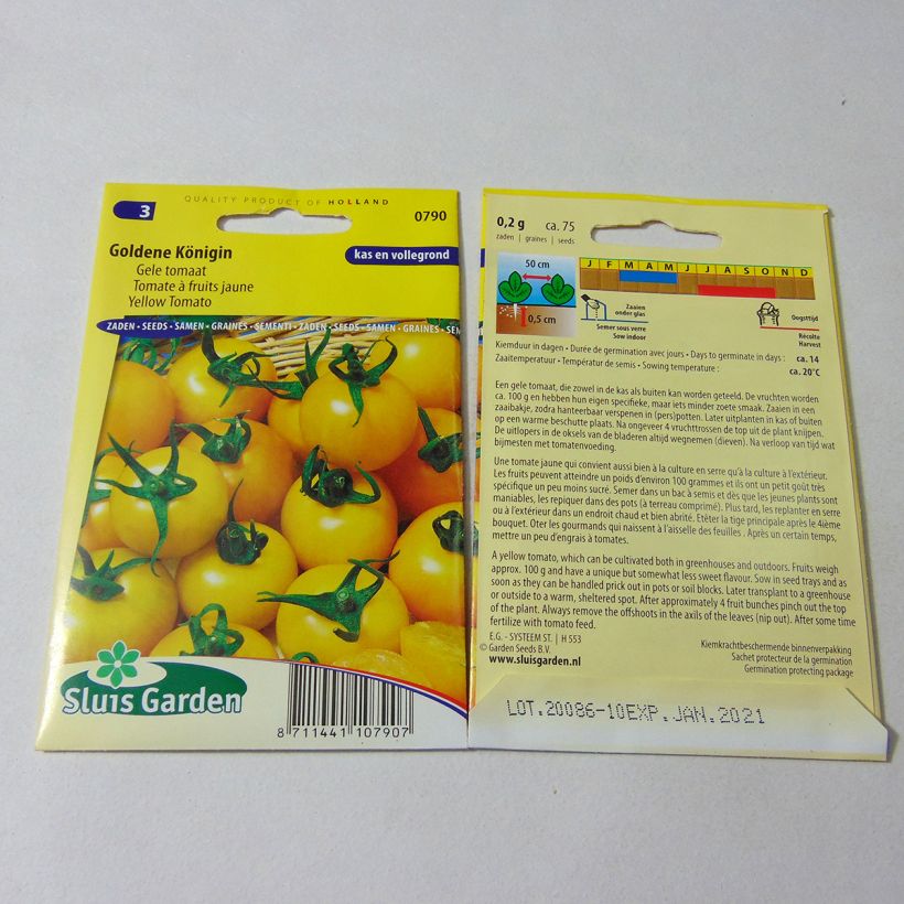 Esempio di esemplare Pomodoro Goldene Königin sacchetto di 75 semi circa come consegnato