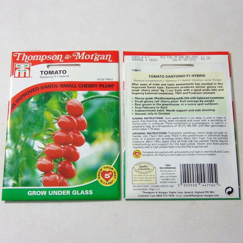 Esempio di esemplare Pomodoro Santonio sacchetto di 6 semi circa come consegnato