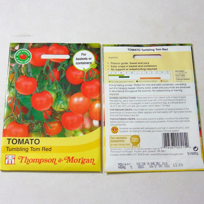 Esempio di esemplare Pomodoro ciliegino/datterino Tumbling Tom Red sacchetto di 15 semi circa come consegnato