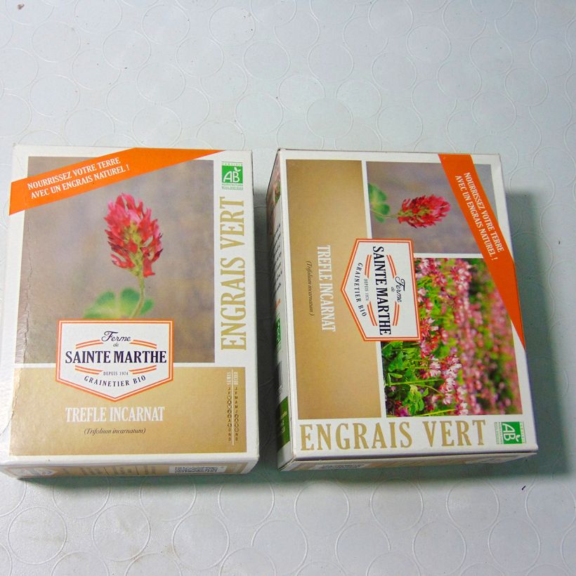 Example of Trifolium incarnatum - Ferme de Sainte Marthe - Trifoglio incarnato sacchetto di semi da 300 grammi as you get
