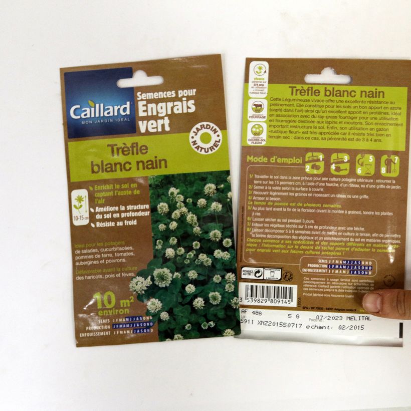 Esempio di esemplare Trifolium repens nain - Trifoglio bianco sacchetto di semi da 5 grammi come consegnato