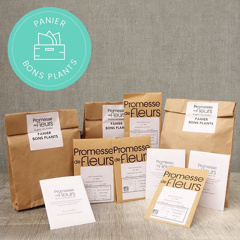 Esempio di esemplare Panier bons plants graines Semi come consegnato