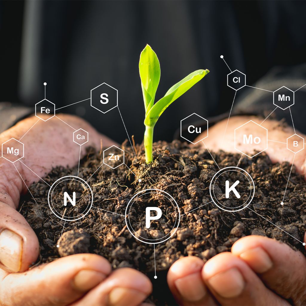 Analisi del suolo professionale