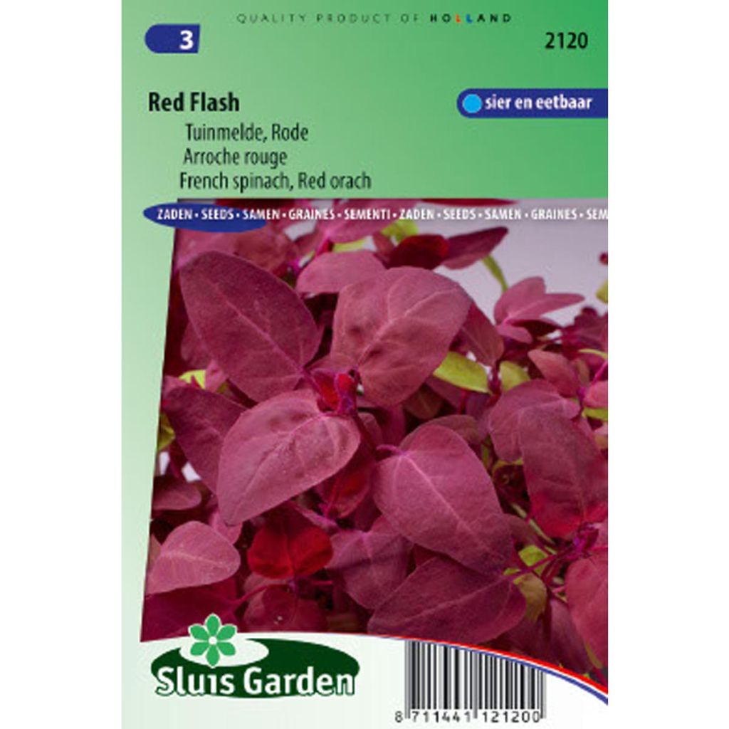 Atriplice degli orti