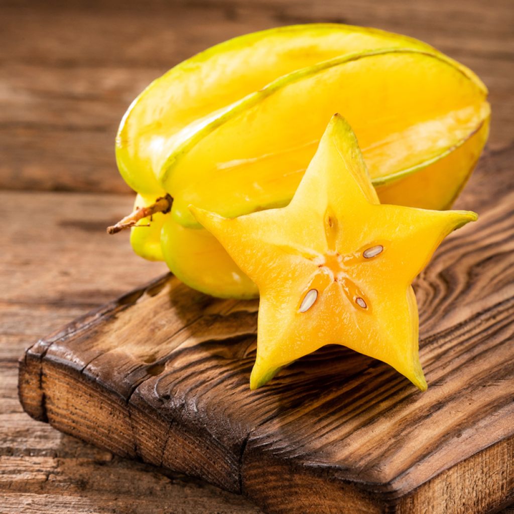 Carambola Arkin - Averrhoa carambola