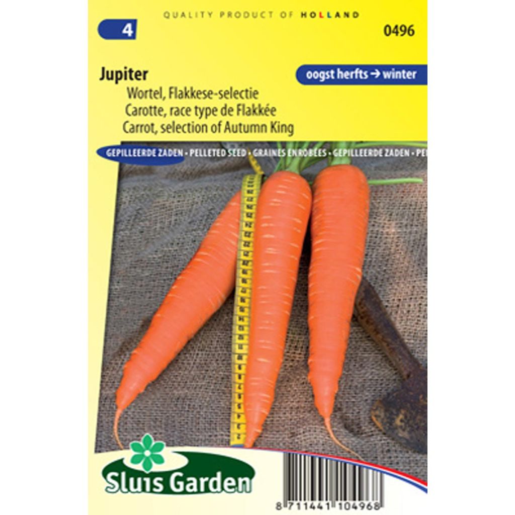 Carota Jupiter (race type de Flakkée)