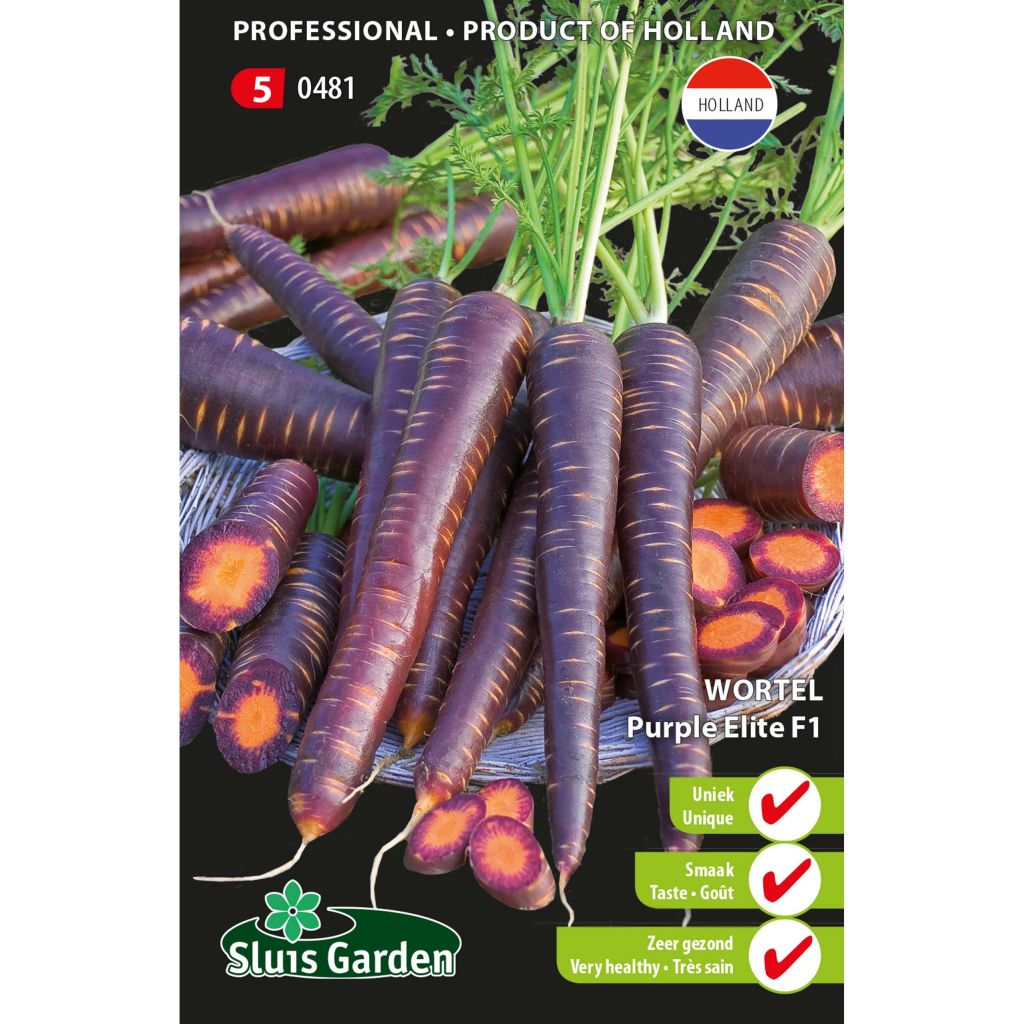 Carota Purple Elite F1