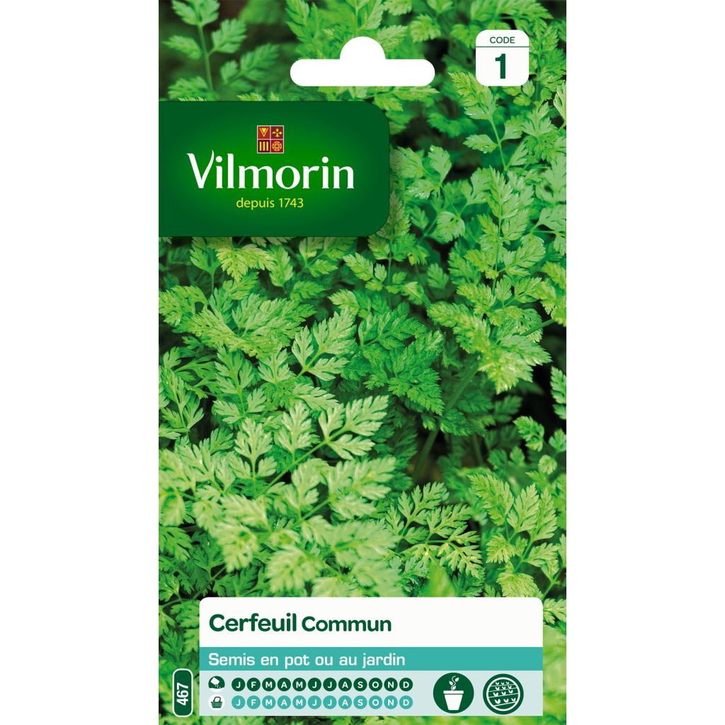 Cerfoglio comune - Vilmorin