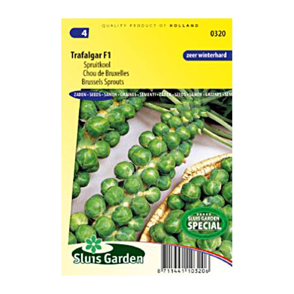 Cavolini di Bruxelles Trafalgar F1