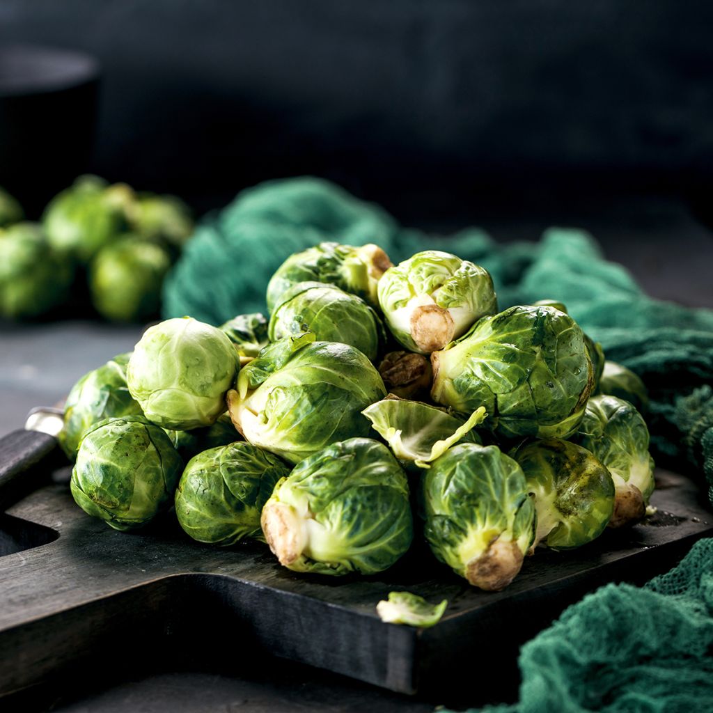 Cavolini di Bruxelles de Rosny