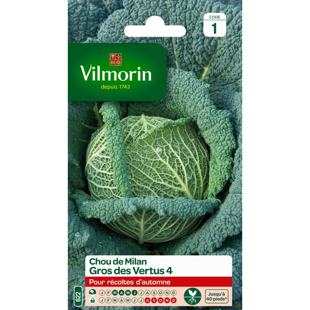 Cavolo verza Gros des Vertus - Vilmorin