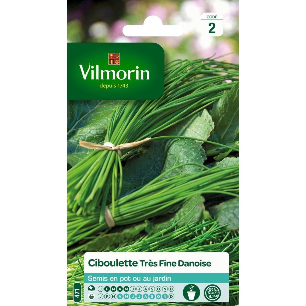 Erba cipollina - Vilmorin