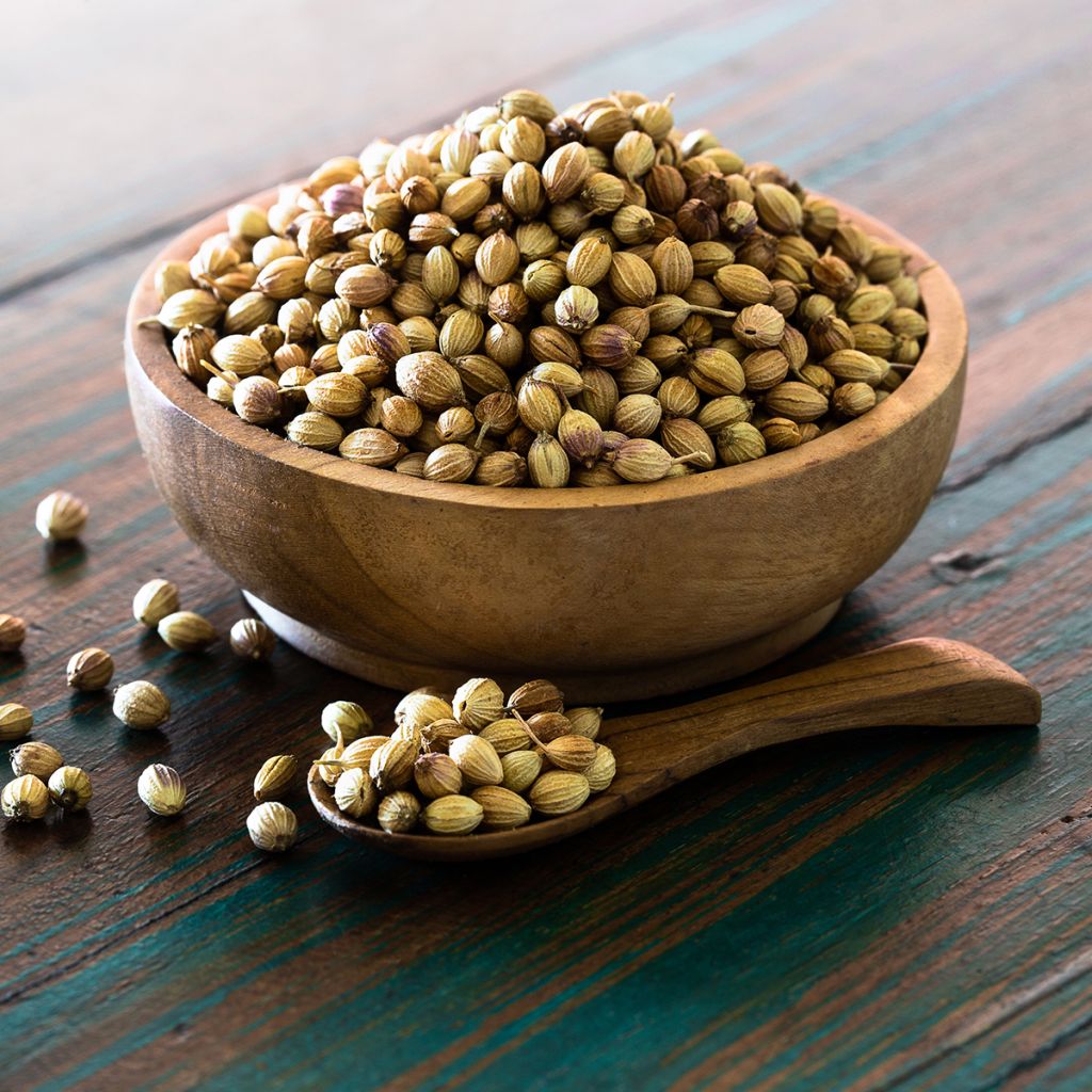 Coriandolo a semi fini