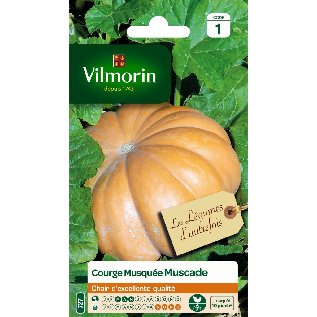Zucca moscata di Provenza - Vilmorin