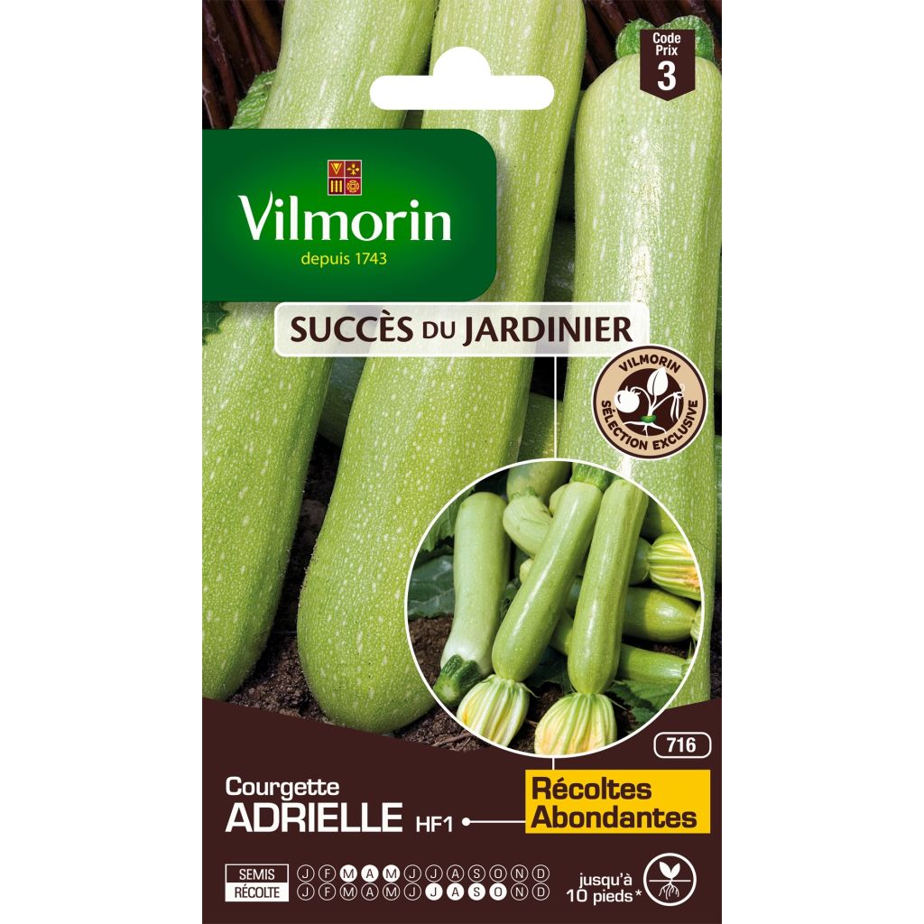 Zucchino Adrielle F1
