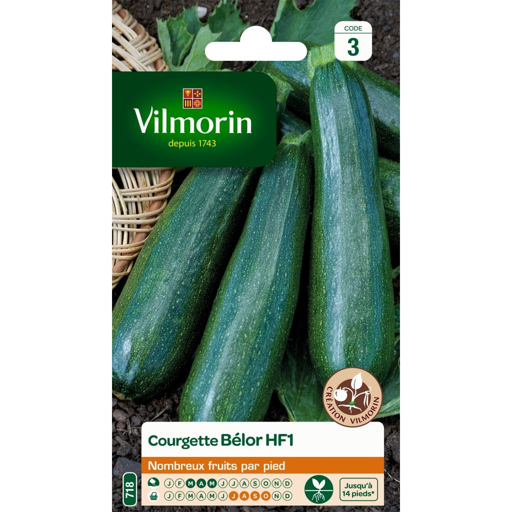 Zucchino Belor F1