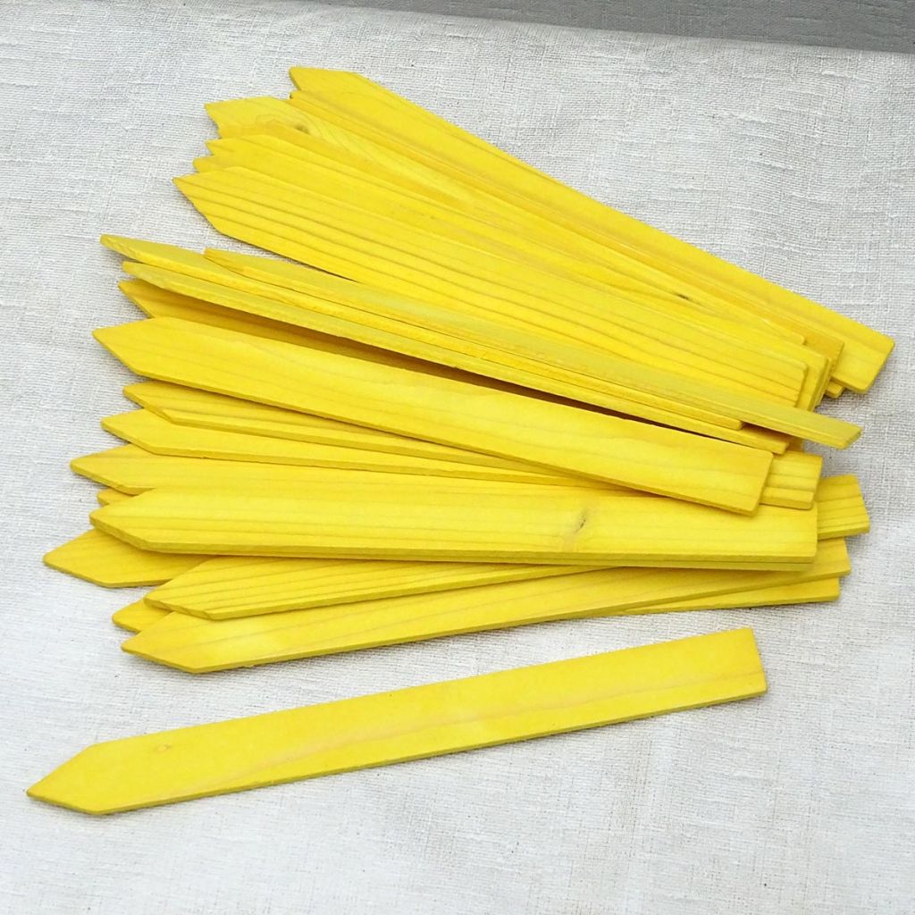Etichetta da piantare in legno giallo