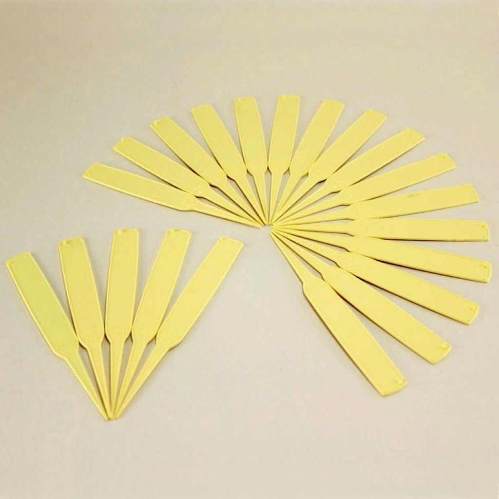 Etichetta stretta da piantare avorio