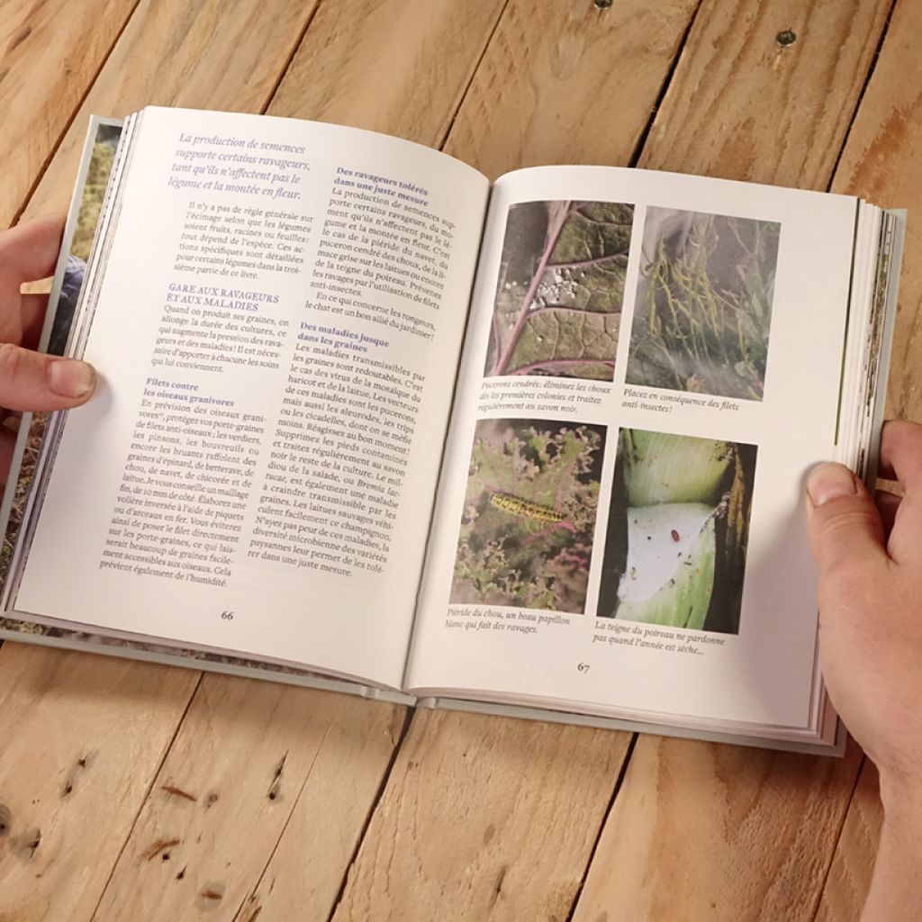 Faire ses graines potagères - Gagner en autonomie & préserver les variétés