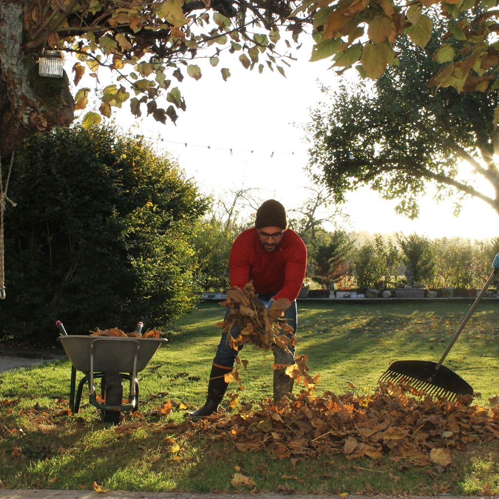 Guanti per lavori pesanti e potatura Rostaing palmo in pelle Recinzione marrone