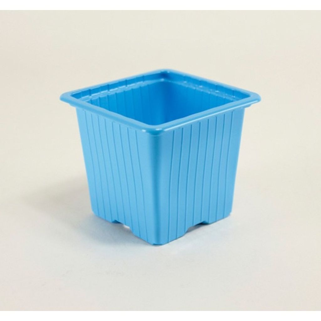 Vaso di colori vari di moltiplicazione - venduto in confezione da 30