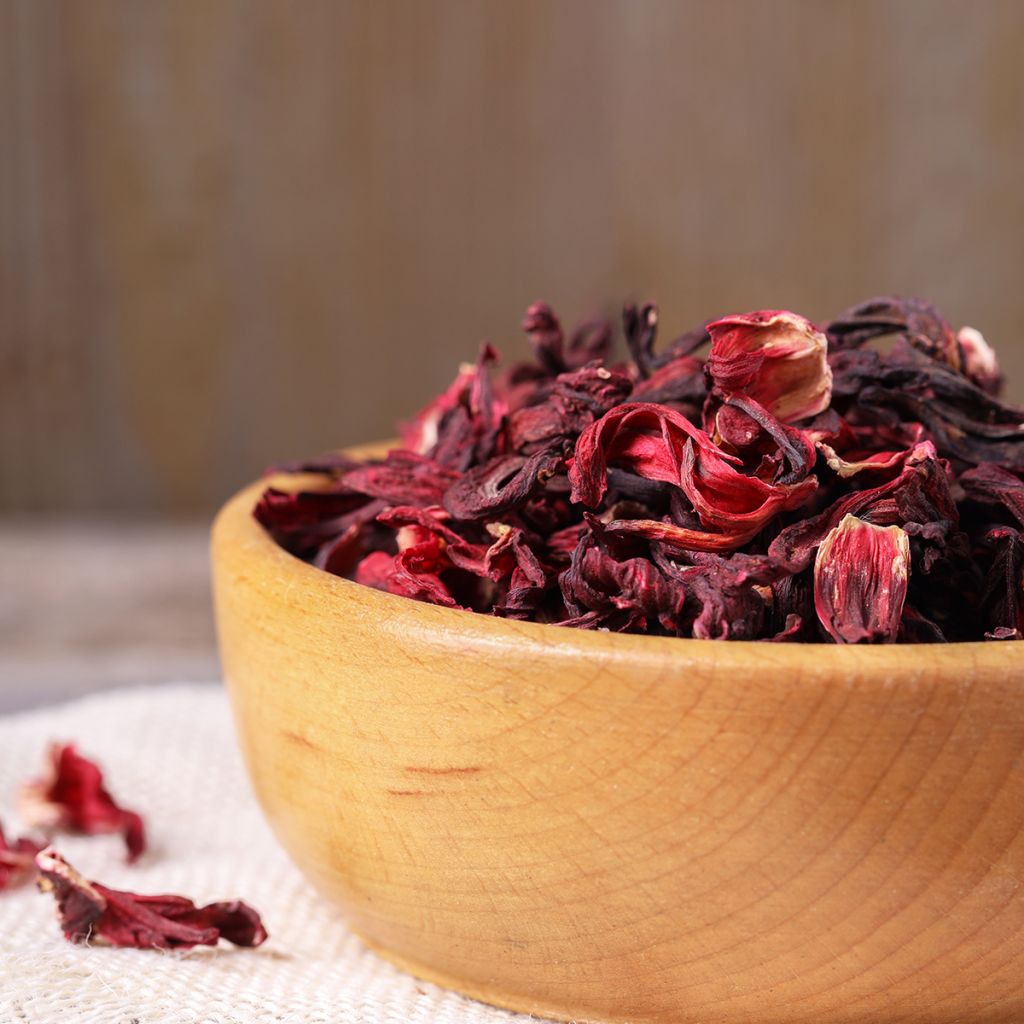 Hibiscus sabdariffa - Karkadè