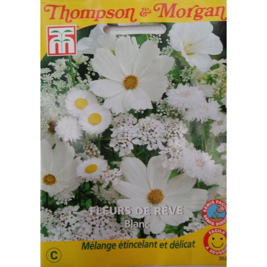 Graines de Fleurs de Rêve Blanc