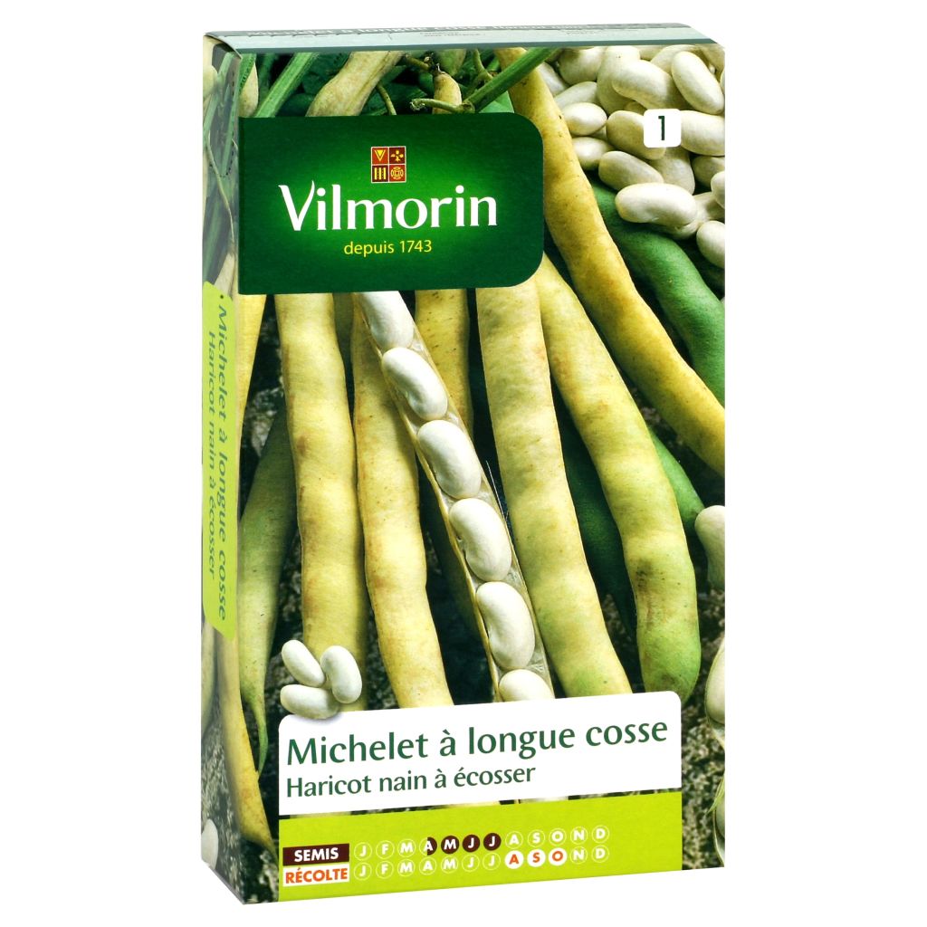 Fagiolo da sgranare Michelet longue cosse - Vilmorin