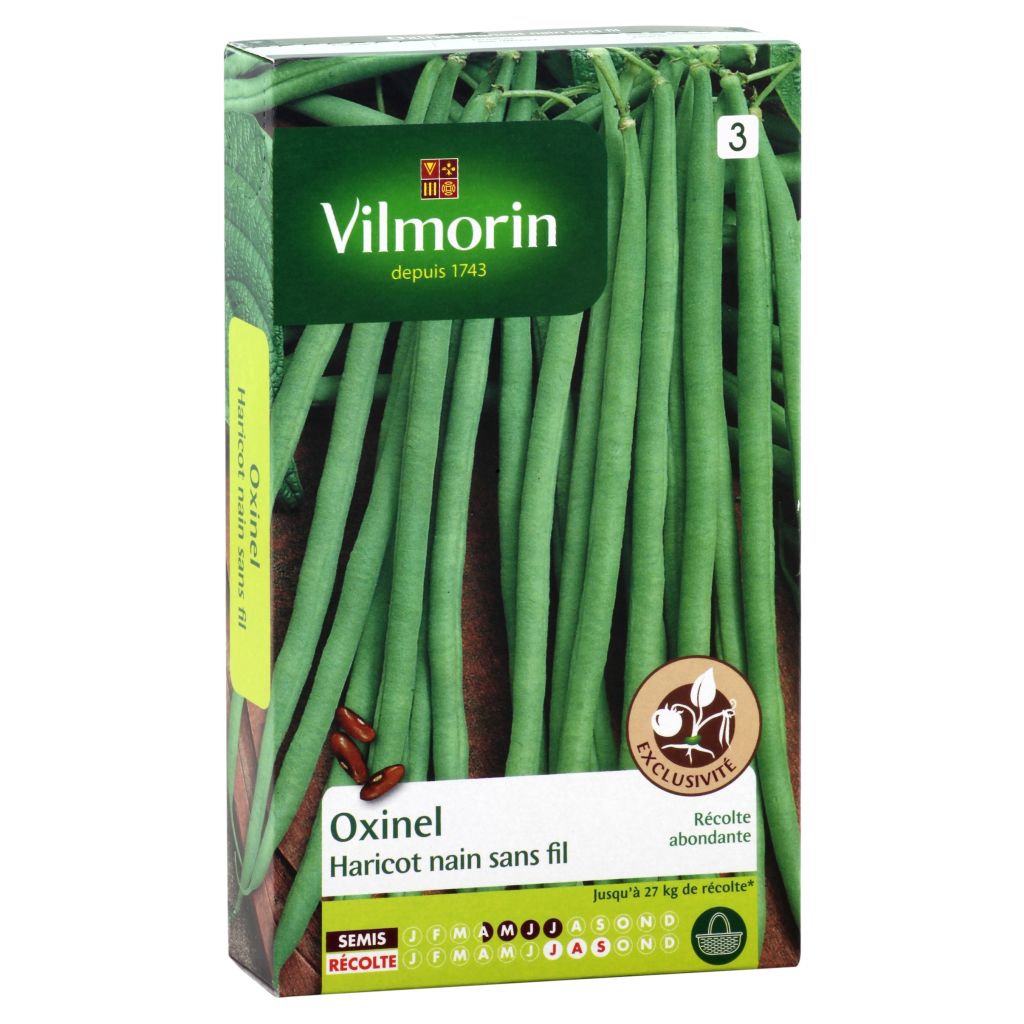 Fagiolo nano Oxinel