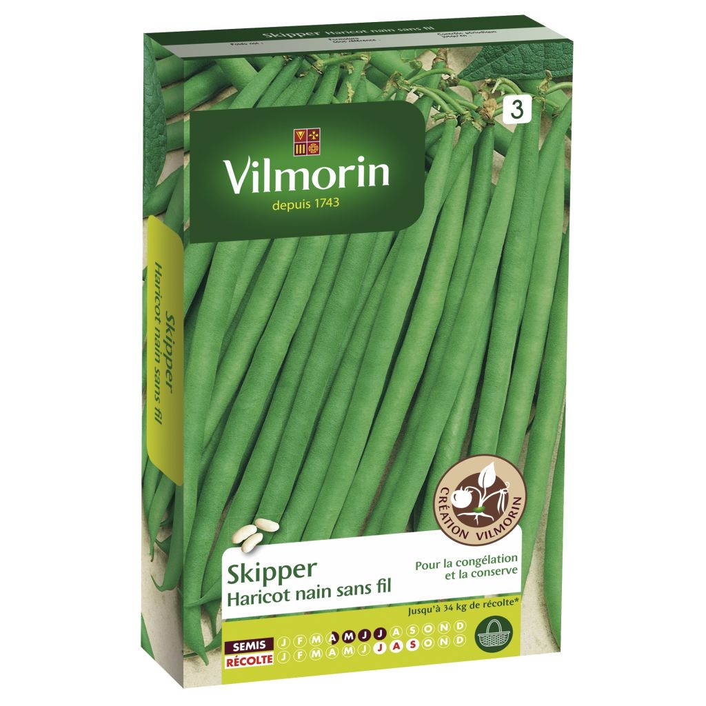 Fagiolo nano Skipper