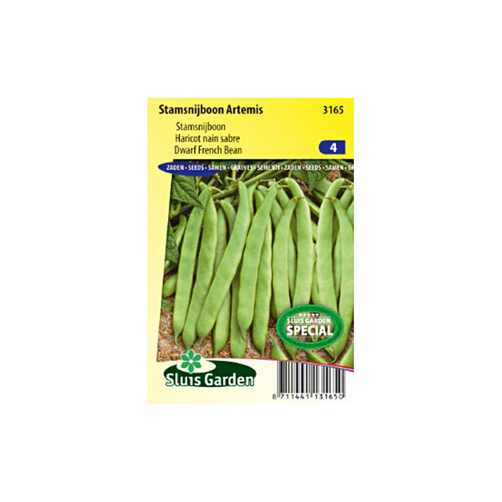 Fagiolo nano Artemis